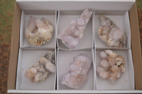 Natural Spirit Amethyst Quartz Clusters x 6 From Boekenhouthoek, South Africa - Toprock Gemstones and Minerals