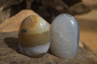 Polished Mixed Agate Standing Free Forms x 6 From West Coast, Madagascar - Toprock Gemstones and Minerals