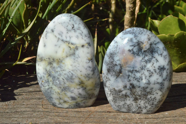 Polished Dendritic White Opal Standing Free Forms x 3 From Moralambo, Madagascar - TopRock