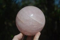 Polished Pink Rose Quartz Spheres  x 2 From Madagascar - Toprock Gemstones and Minerals