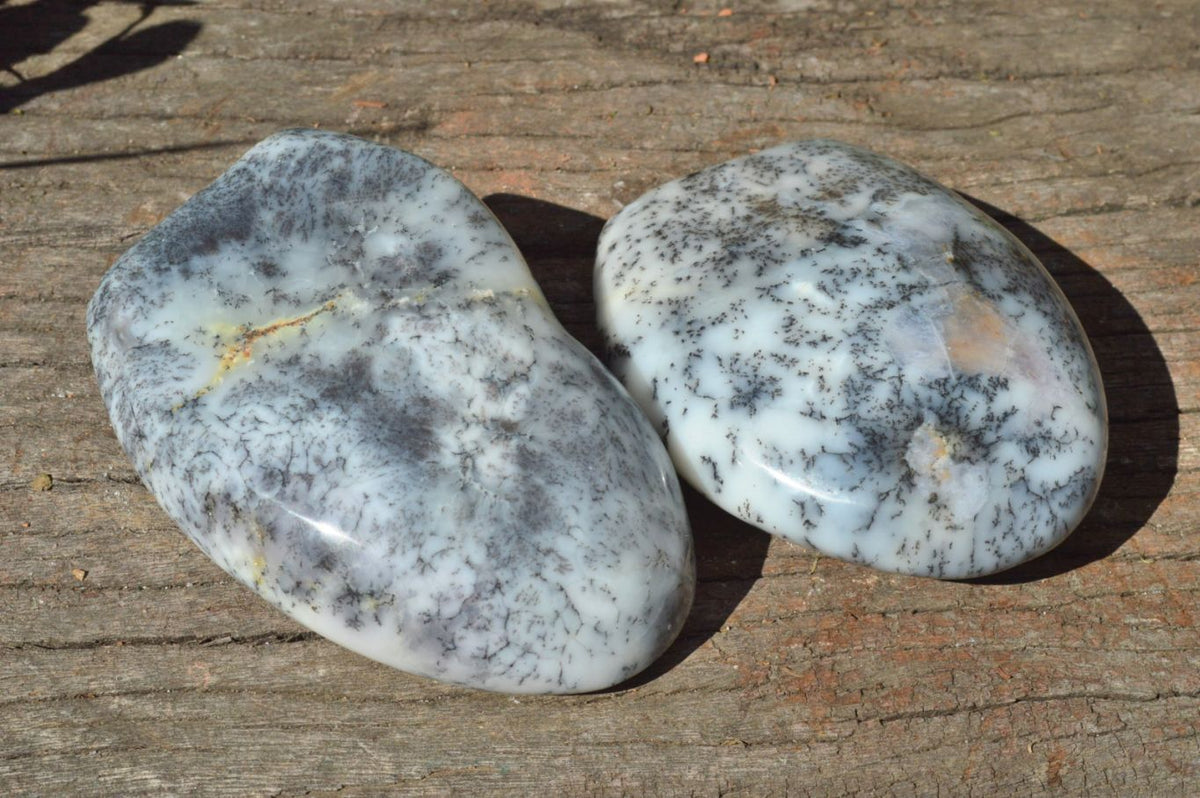 Polished Dendritic White Opal Standing Free Forms x 3 From Moralambo, Madagascar - TopRock