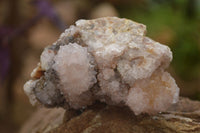 Natural Spirit Amethyst Quartz Clusters x 6 From Boekenhouthoek, South Africa - Toprock Gemstones and Minerals