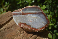 Polished One Side Polished Agate Free Forms  x 2 From Southern Africa - Toprock Gemstones and Minerals