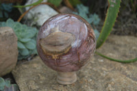 Polished Petrified Podocarpus Wood Sphere & Stand  x 2 From Mahajanga, Madagascar - Toprock Gemstones and Minerals