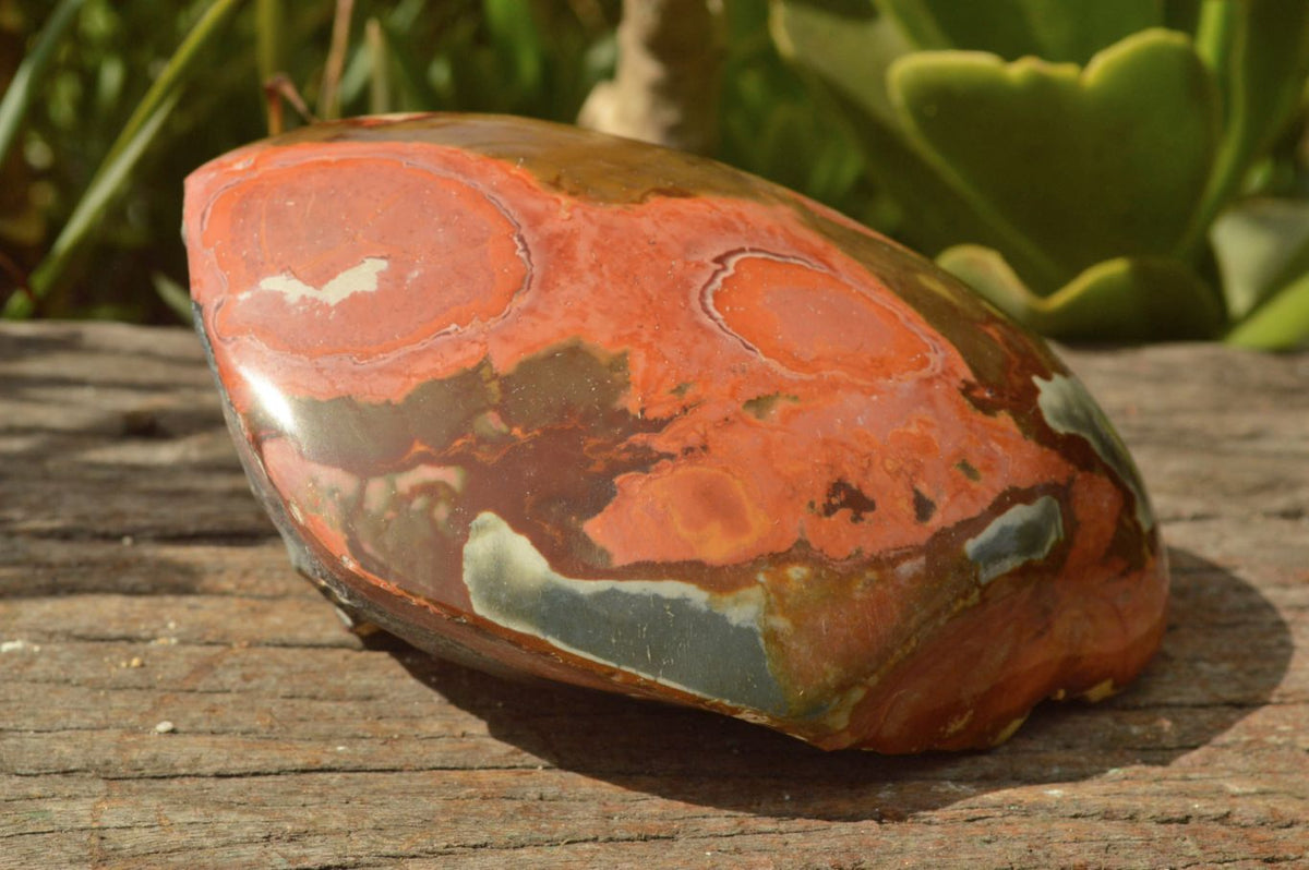 Polished Polychrome "Picasso Picture Jasper" Spheres x 2 From Mahajanga, Madagascar - TopRock