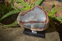 Polished One Side Polished Agate Free Forms  x 2 From Southern Africa - Toprock Gemstones and Minerals
