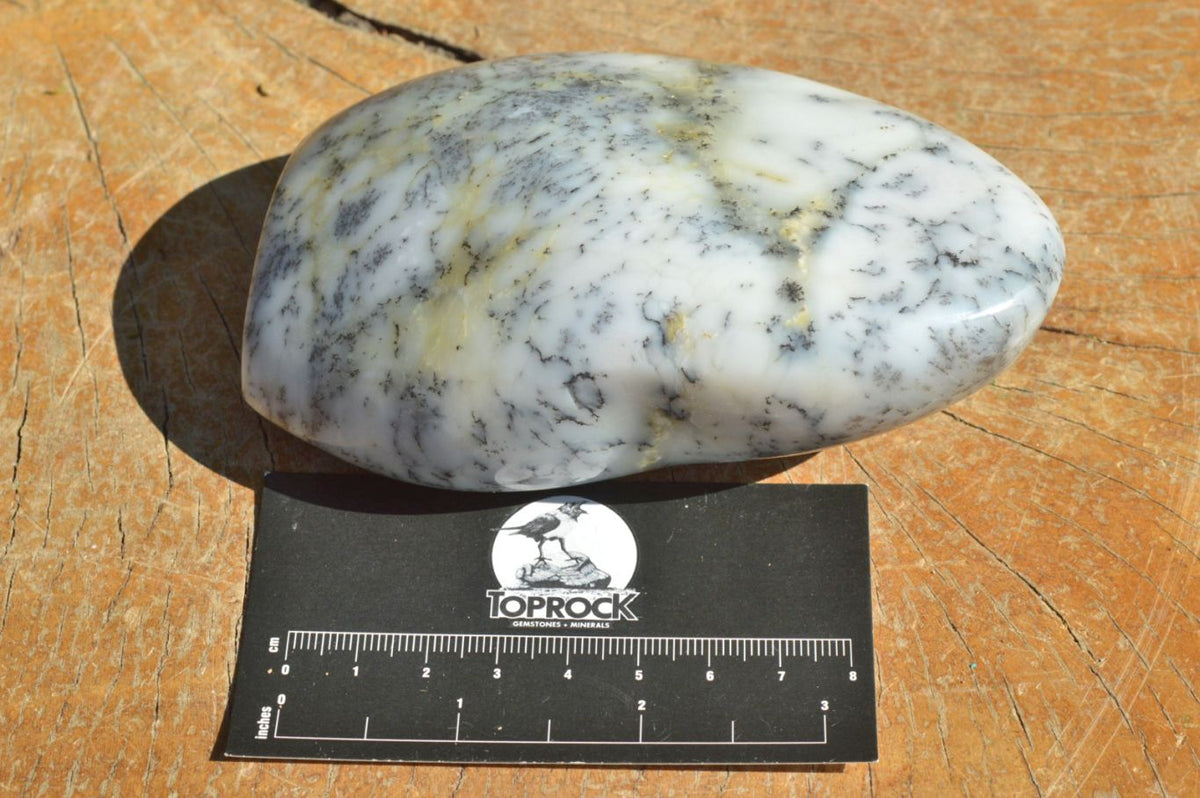 Polished Dendritic White Opal Standing Free Forms x 3 From Moralambo, Madagascar - TopRock