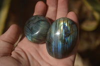 Polished Labradorite Galets (Palm Stones)  - Sold per 1 kg - From Tulear, Madagascar - Toprock Gemstones and Minerals