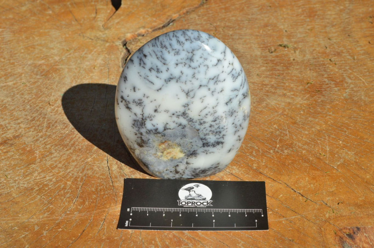 Polished Dendritic White Opal Standing Free Forms x 3 From Moralambo, Madagascar - TopRock