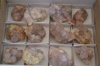 Natural Mixed Spirit Amethyst Quartz Clusters  x 12 From Boekenhouthoek, South Africa - Toprock Gemstones and Minerals