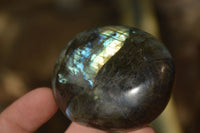 Polished Labradorite Galets (Palm Stones)  - Sold per 1 kg - From Tulear, Madagascar - Toprock Gemstones and Minerals