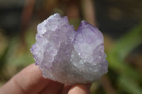 Natural Mixed Spirit Quartz Specimens x 12 From Boekenhouthoek, South Africa - Toprock Gemstones and Minerals