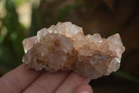Natural Mixed Spirit Amethyst Quartz Clusters  x 12 From Boekenhouthoek, South Africa - Toprock Gemstones and Minerals