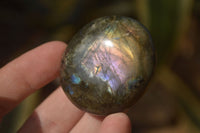 Polished Labradorite Galets (Palm Stones)  - Sold per 1 kg - From Tulear, Madagascar - Toprock Gemstones and Minerals