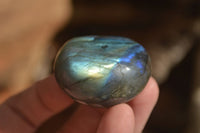 Polished Labradorite Galets (Palm Stones)  - Sold per 1 kg - From Tulear, Madagascar - Toprock Gemstones and Minerals