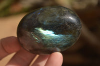 Polished Labradorite Galets (Palm Stones)  - Sold per 1 kg - From Tulear, Madagascar - Toprock Gemstones and Minerals