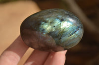 Polished Labradorite Galets (Palm Stones)  - Sold per 1 kg - From Tulear, Madagascar - Toprock Gemstones and Minerals