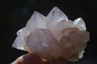 Natural Mixed Spirit Amethyst Quartz Clusters  x 12 From Boekenhouthoek, South Africa - Toprock Gemstones and Minerals