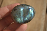 Polished Labradorite Galets (Palm Stones)  - Sold per 1 kg - From Tulear, Madagascar - Toprock Gemstones and Minerals