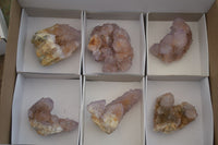 Natural Spirit Amethyst Quartz Clusters  x 6 From Boekenhouthoek, South Africa - Toprock Gemstones and Minerals