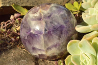 Polished Dream Flower Amethyst Spheres x 2 From Madagascar - TopRock