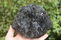 Natural Schorl Black Tourmaline Specimen x 1 From Erongo, Namibia - Toprock Gemstones and Minerals