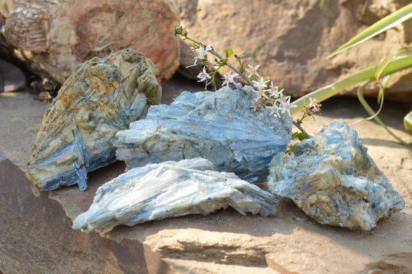 Natural Blue Kyanite Crystals In Mica & Quartz Matrix  x 4 From Zimbabwe - TopRock