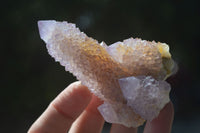 Natural Spirit Amethyst Quartz Clusters  x 6 From Boekenhouthoek, South Africa - Toprock Gemstones and Minerals
