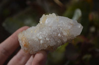 Natural Spirit Quartz Clusters x 9 From Boekenhouthoek, South Africa - Toprock Gemstones and Minerals