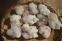 Natural Large White Cactus Flower Spirit Quartz Clusters x 12 From Boekenhouthoek, South Africa - Toprock Gemstones and Minerals