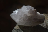 Natural Large White Cactus Flower Spirit Quartz Clusters x 12 From Boekenhouthoek, South Africa - Toprock Gemstones and Minerals