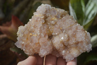 Natural Spirit Quartz Clusters x 9 From Boekenhouthoek, South Africa - Toprock Gemstones and Minerals
