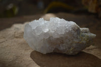 Natural Large White Cactus Flower Spirit Quartz Clusters x 12 From Boekenhouthoek, South Africa - Toprock Gemstones and Minerals