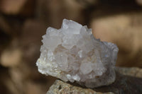 Natural Large White Cactus Flower Spirit Quartz Clusters x 12 From Boekenhouthoek, South Africa - Toprock Gemstones and Minerals