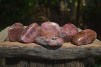 Polished Pink Rhodonite Free Forms  x 6 From Zimbabwe - Toprock Gemstones and Minerals