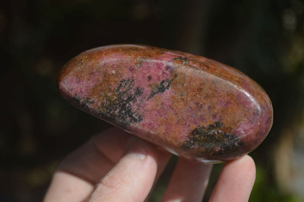 Polished Pink Rhodonite Free Forms  x 6 From Zimbabwe - Toprock Gemstones and Minerals 