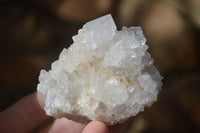 Natural Large White Cactus Flower Spirit Quartz Clusters x 12 From Boekenhouthoek, South Africa - Toprock Gemstones and Minerals