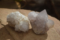 Natural Large White Cactus Flower Spirit Quartz Clusters x 12 From Boekenhouthoek, South Africa - Toprock Gemstones and Minerals