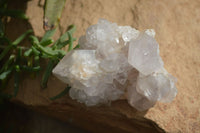 Natural Large White Cactus Flower Spirit Quartz Clusters x 12 From Boekenhouthoek, South Africa - Toprock Gemstones and Minerals
