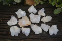 Natural White Spirit Cactus Quartz Clusters  x 12 From Boekenhouthoek, South Africa - Toprock Gemstones and Minerals