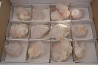 Natural White Cactus Flower Spirit Quartz Specimens x 12 From Boekenhouthoek, South Africa - Toprock Gemstones and Minerals
