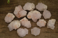 Natural White Cactus Flower Spirit Quartz Specimens x 12 From Boekenhouthoek, South Africa - Toprock Gemstones and Minerals