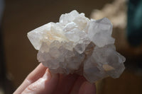 Natural Large White Cactus Flower Spirit Quartz Clusters x 12 From Boekenhouthoek, South Africa - Toprock Gemstones and Minerals