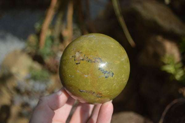 Polished Green Opal Spheres  x 3 From Madagascar - Toprock Gemstones and Minerals 
