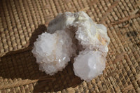 Natural Large White Cactus Flower Spirit Quartz Clusters x 12 From Boekenhouthoek, South Africa - Toprock Gemstones and Minerals