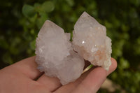 Natural White Cactus Flower Spirit Quartz Specimens x 12 From Boekenhouthoek, South Africa - Toprock Gemstones and Minerals