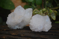 Natural White Spirit Cactus Quartz Clusters  x 12 From Boekenhouthoek, South Africa - Toprock Gemstones and Minerals