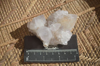 Natural Large White Cactus Flower Spirit Quartz Clusters x 12 From Boekenhouthoek, South Africa - Toprock Gemstones and Minerals