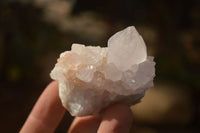 Natural White Cactus Flower Spirit Quartz Specimens x 12 From Boekenhouthoek, South Africa - Toprock Gemstones and Minerals