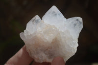 Natural White Spirit Cactus Quartz Clusters  x 12 From Boekenhouthoek, South Africa - Toprock Gemstones and Minerals